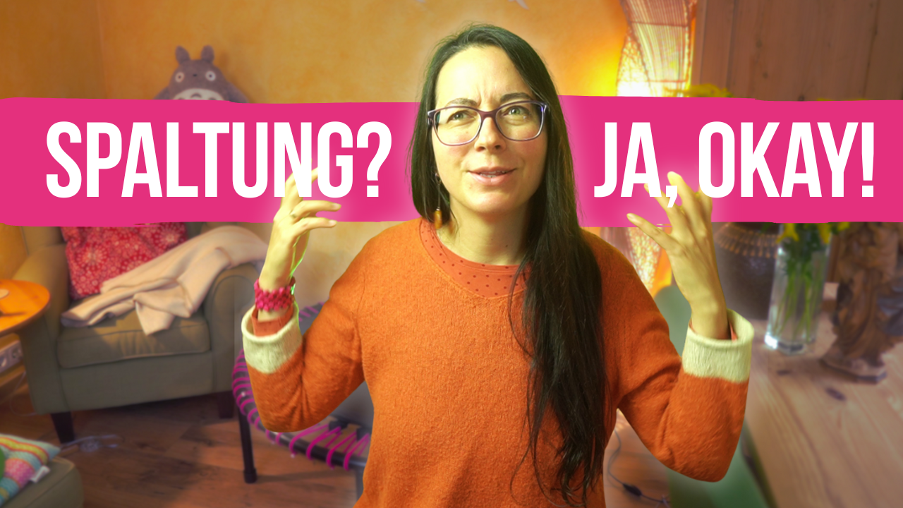 Spaltung der Gesellschaft